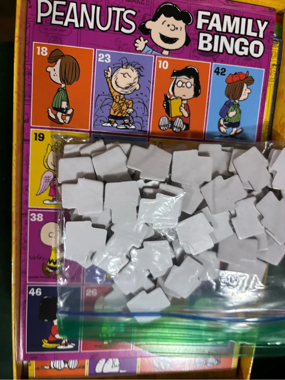 Peanuts Family Bingo -
